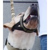 Dog Muzzle,Nylon Adjustable Anti-Bite Barking and Chewing Dog Muzzle with
