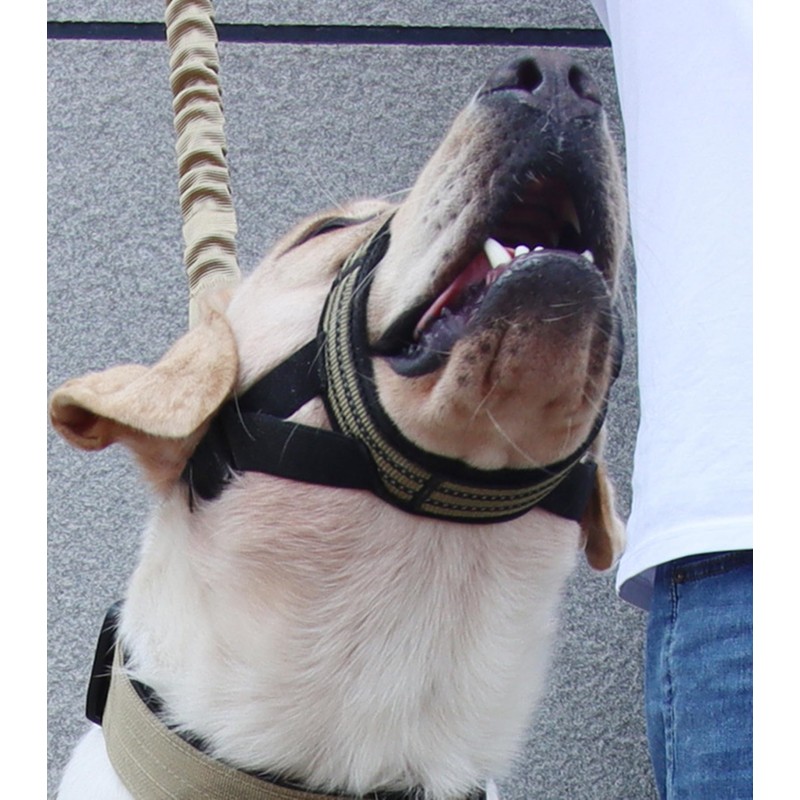 Dog Muzzle,Nylon Adjustable Anti-Bite Barking and Chewing Dog Muzzle with