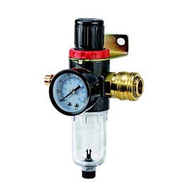 Einhell Grey Filter Pressure1/4 inch Male Thread