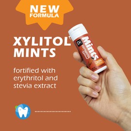 DC24 DAILY CARE Xylitol Erythritol Mints, No Aspartame Sugar Free Mints, Low-Calorie, Dry Mouth Mints Keto Cinnamon 30 Pieces (Pack of 4)