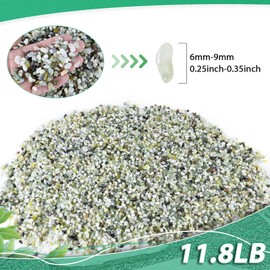 Succulent Rocks for Plants Tiny Pebbles for Planters 11.8LB Pea Gravel Bulk Course Sand Soil Small Decorative Stones for Indoor Bonsai Pots Cactus Top Dress Aquarium Garden Landscape, Green