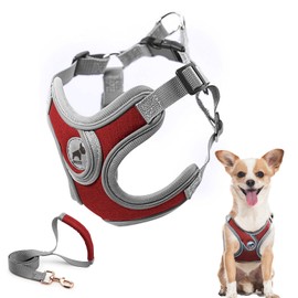Dog Harness with Leash Set, Adjustable Step in with Breathable Padded Puppy Harness for Walking Escape Proof Small Dogs (XS, Red)