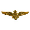 Naval Aviator Pilot Wings Patch [Hook Fastener - 4.0 X