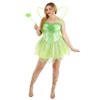 Dreamgirl Women's Fairy-Licious Costume, Green, Large