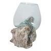 Ebros Gift Balinese Handicraft Natural Driftwood With Hand Blown Molten