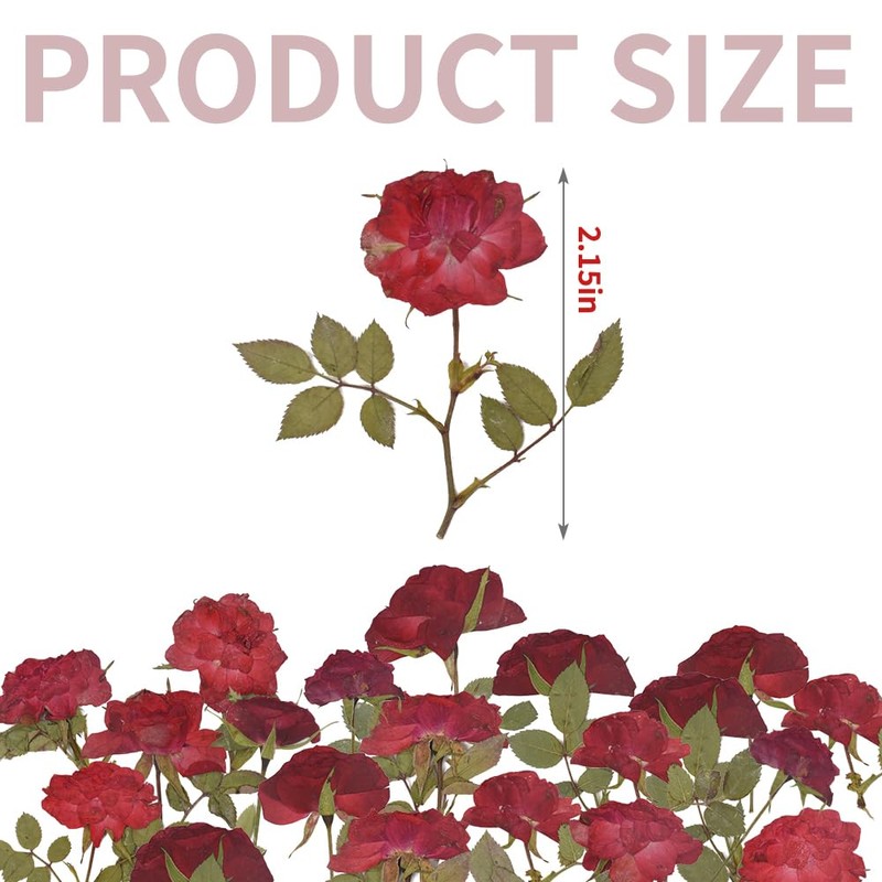 HAIOPS Pressed Rose, 24PCS Natural Rose for Resin Scrapbook Candle