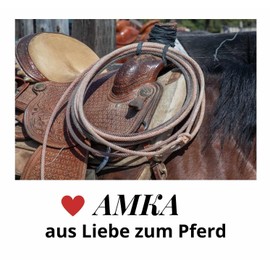 AMKA Nylon Saddle Girth Converter Adapter for Saddle Straps 1 Pair 2-Buckle Saddle Girth Converter (RCA) from English to Western