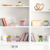 Pasimy 6 Set Ceramics to Paint DIY Ceramic Succulent Planter