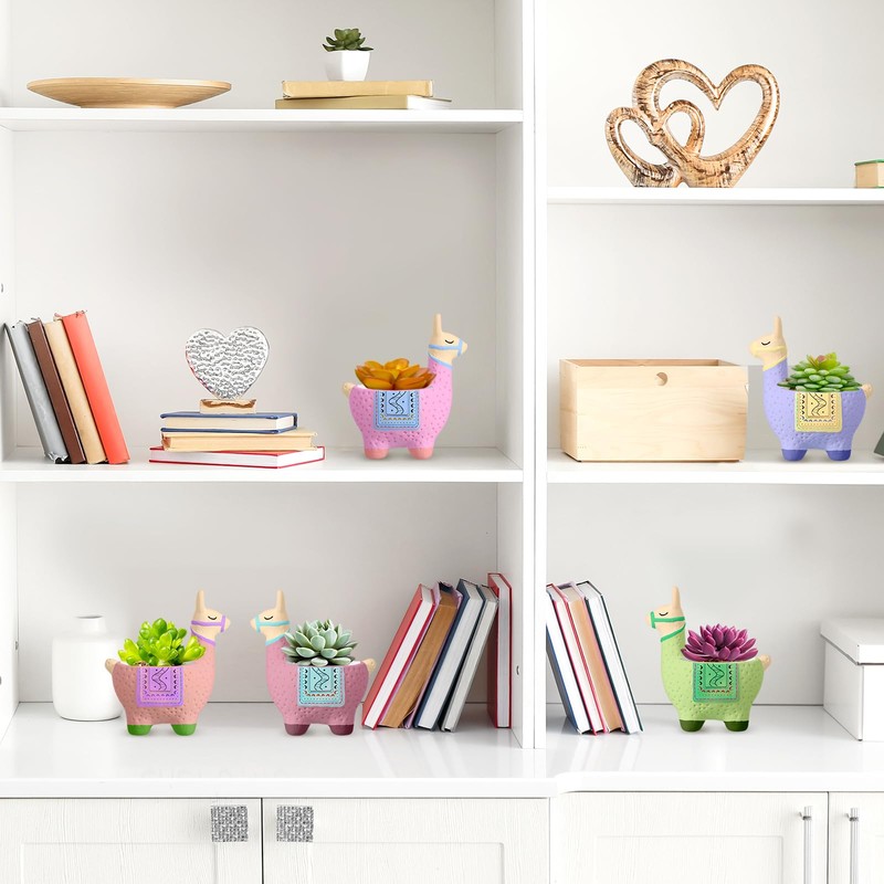 Pasimy 6 Set Ceramics to Paint DIY Ceramic Succulent Planter