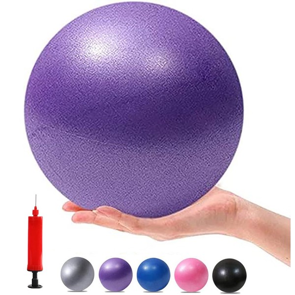 XIECCX Mini Yoga Balls 6 Inch Exercise Pilates Therapy Balance Bender Ball Barre Equipment for Home Stability Squishy Training with Pump(Purple)