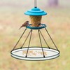 FoldTier 1 Piece Universal Wild Bird Seed Catcher Hanging Hoop
