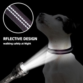 Aiminto Adjustable Nylon Reflective Martingale Dog Collar for Training and Walking (Purple, XS (Neck: 10"-14", Width: 3/8"))