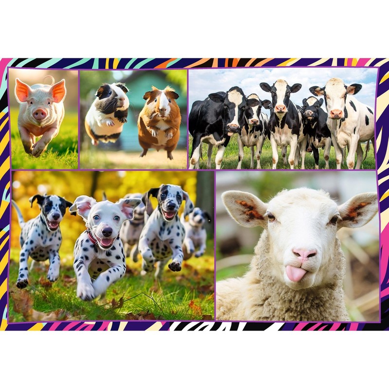 Trefl 13313 4-in-1: Funny Animals, 4 x 250 Piece Set
