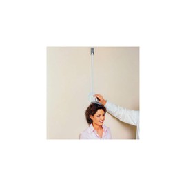 seca 206 wall mounted simple height meter