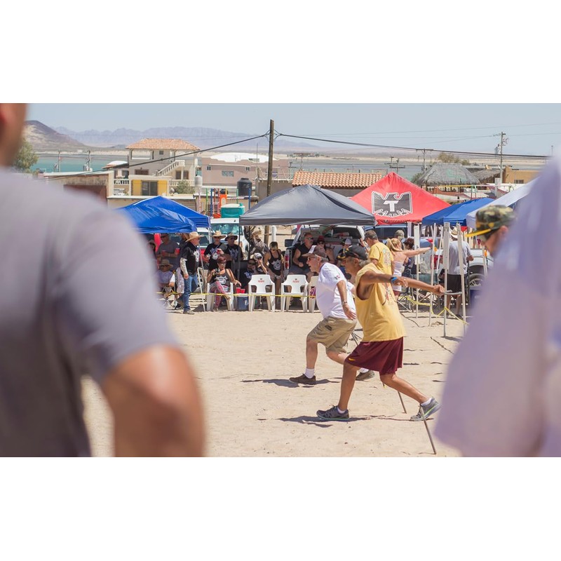 Stinger Professional Pitching Horseshoes- USA Made (Blue- Single Pair (2