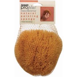 ProPlus Natural Painting Sponge Medium Texture, Small, No Size, Brown