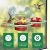 Window Hummingbird Feeder, Small Hummingbird Feeder for Outdoors with Strong