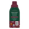 Starbucks Cold Brew Coffee Concentrate, Dark Chocolate Hazelnut Flavored Iced
