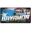 Puerto Rico Bayamon License Plate