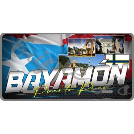 Puerto Rico Bayamon License Plate