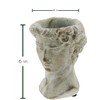 The Bridge Collection Antique Style Old World Greek Statue Head