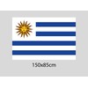 OEDIM Uruguay Flag | 5ft x 33in | Reinforced and