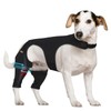 Supet Dog Rear Leg Sleeve to Stop Licking- Anti Licking
