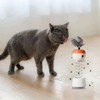 Cat Treat Dispenser Toy,Safe Spring-Loaded Cat Treat Feeder Feather Toy