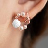 Starfish Earrings for Women Girls Starfish Earrings Studs Seashell Earrings