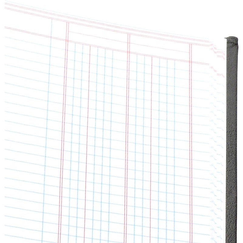 Wilson Jones Hardbound Accounting Journal, 9.25 x 7 Inches, 2