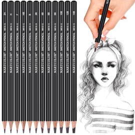 YUANCHENG Professional Drawing Sketching Pencil Set - 12 Pieces,Graphite,(14B - 2H), Graphite Pencils for Drawing, Shading Pencils for Sketching,Artist Pencils for Beginners,Drawing Art