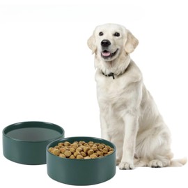 Ceramic Dog Bowl for Large Dogs 8.2″– 60oz, Pet Food & Water Bowl with Silicone Base, Dishwasher Safe, Protects Cervical Spine – Green - Vallary