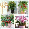 Neiang Monstera Support Stake 1 Piece Potted Plant Support Monstera
