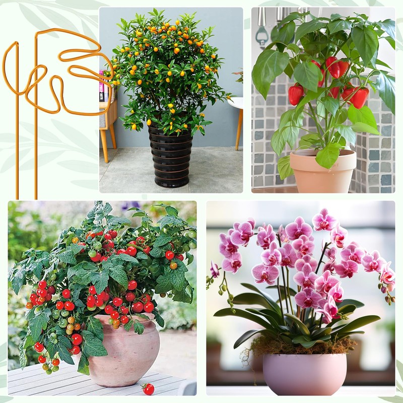 Neiang Monstera Support Stake 1 Piece Potted Plant Support Monstera
