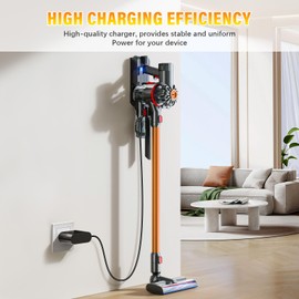 30.45V Charger for Dyson V10 V11 V12 V13 V14 V15 Vacuum Charger,Replacement Charger for Dyson SV12 SV14 SV16 SV20 SV22 969350 217160 Absolute Animal Motorhead Cordless Vacuum Power Supply