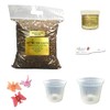 Phalaenopsis Orchid Growing Starter Kit - Includes Instruction Sheet