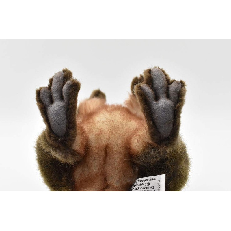 BH7362 HANSA クアッカワラビー ２２