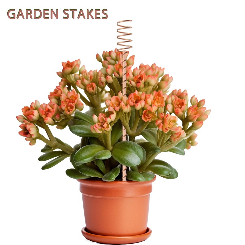 10Pack Electroculture Plant Stakes, 12" Electroculture Copper Gardening Antenna, Copper