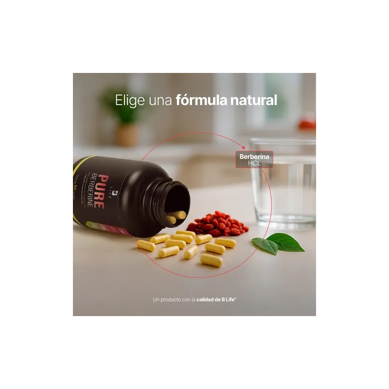 Berberina Pura 60 Cápsulas B Life 1000 Mg Pure Berberine