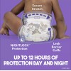Luvs Pro Level Leak Protection Diapers (No Ship To CA)