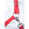 HKM by Reiterladen24 Basicline Headcollar Red Shetty