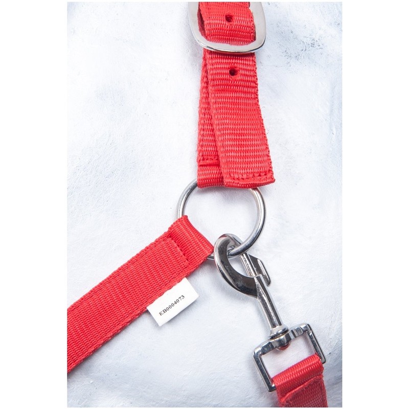 HKM by Reiterladen24 Basicline Headcollar Red Shetty
