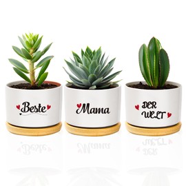 coTaSiEY Mother's Day Gift, Best Mum Flower Pot Flower Pots Gifts for Mum Mother Birthday Gifts Mothers Day Gifts Easter Gift