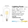 OPALRAY Low Voltage DC 12V/24V 6W LED Bulb, Edison Style