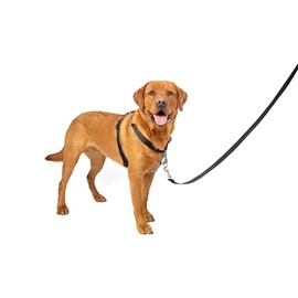 PetSafe 3 in 1™ Harness and Car Restraint by PetSafe (Large)