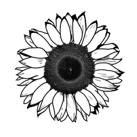 Sunflower Temporary Tattoo Large Size Pack Of 4