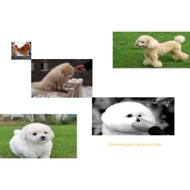 Professional Dog/Pet Grooming Shear Scissors 8.0" Stainless Steel 440C Japanese Process (8.0" Curved Blue Diamond)