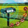 Qualirey 2 Pcs Solar Nocturnal Ultrasonic Light Animal Repeller Outdoor