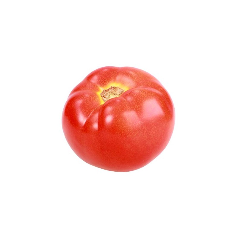 Celebrity Hybrid Tomato Seeds - Non-GMO - 10 Seeds