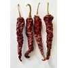 Byadgi Bedgi Chile Byadagi Chilli Pepper Premium Seeds for Planting